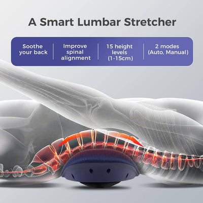 Electric Lumbar Massager